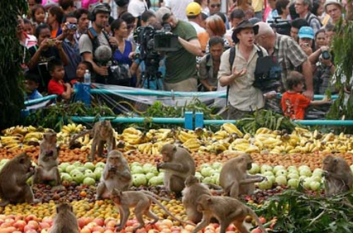 فستیوال میمون ها در تایلند