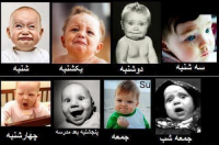 بهترین مدرسه ایران